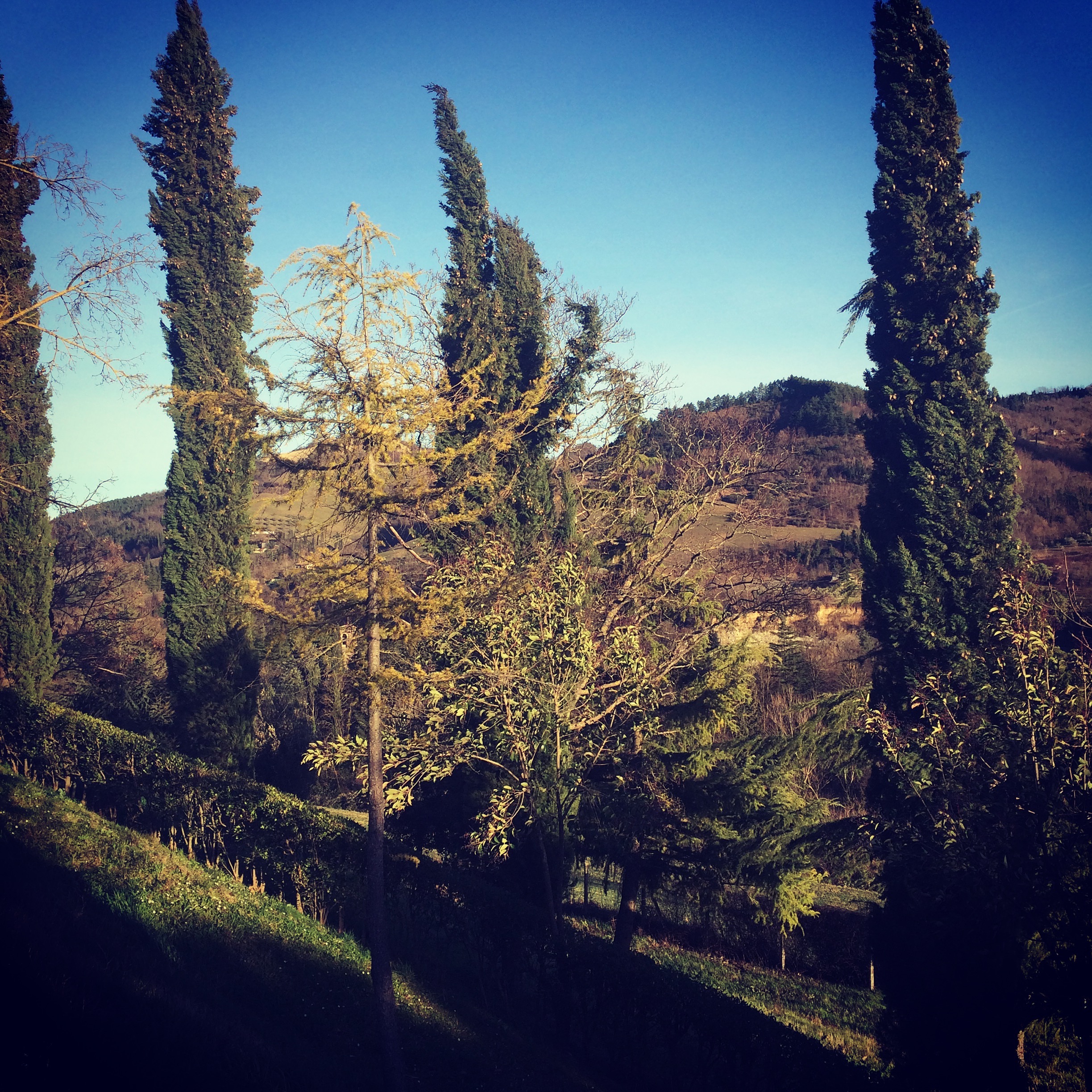 The beautiful hills of Romagna